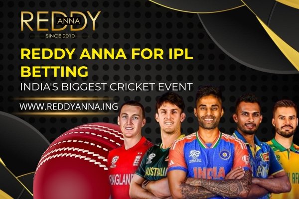 Reddy Anna for IPL Betting