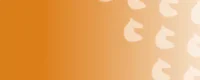 horse-bg.webp